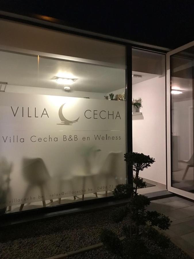 Villa Cecha B&B &Wellness 오스텐드 외부 사진
